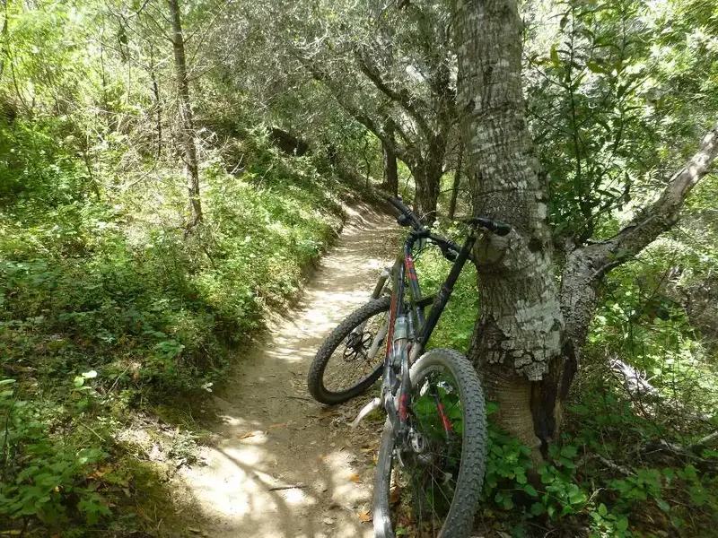 Broken Dam Trail.webp
