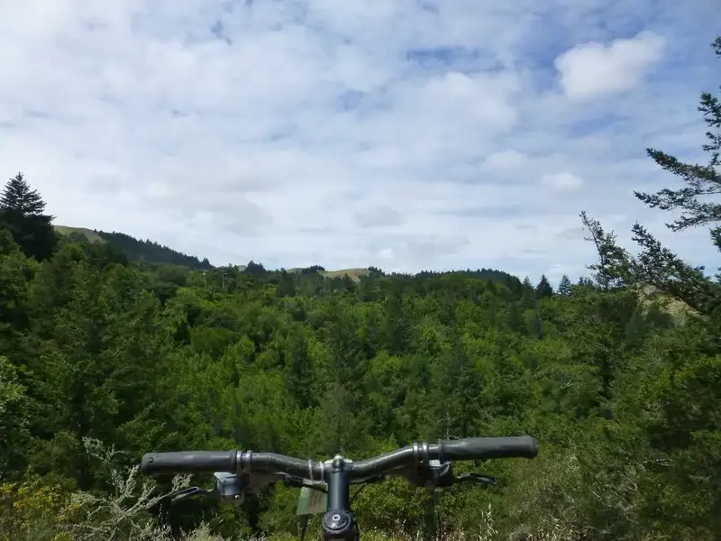 Nice out today.webp