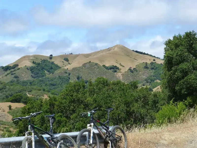 White's Hill.webp