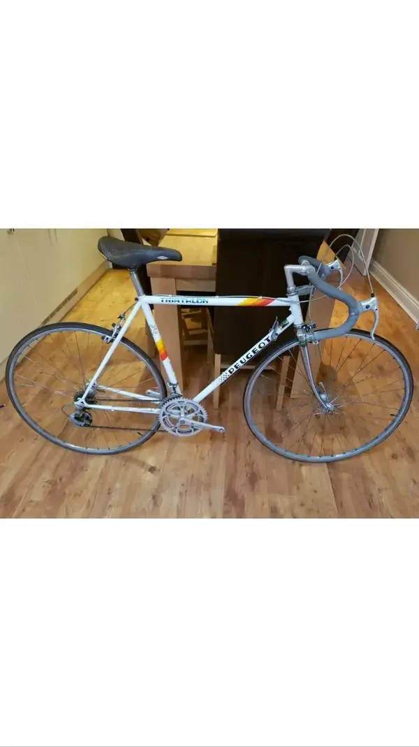 Peugeot Triathlon with reynolds 501 frame what age era Retrobike