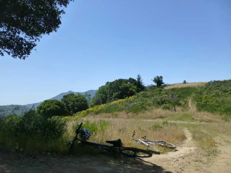 Top of the climb.webp
