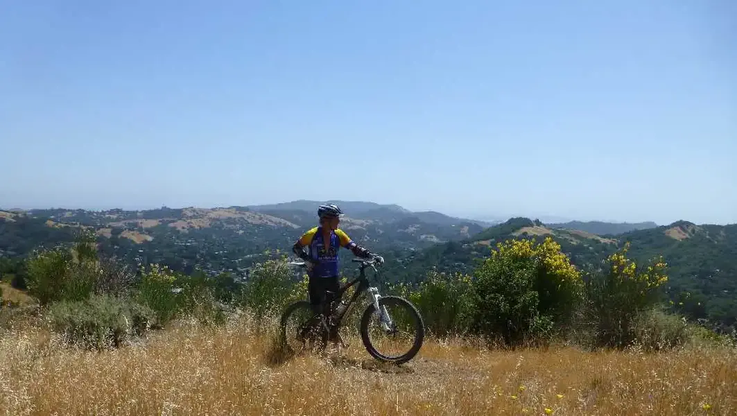 Getting dry up high.webp