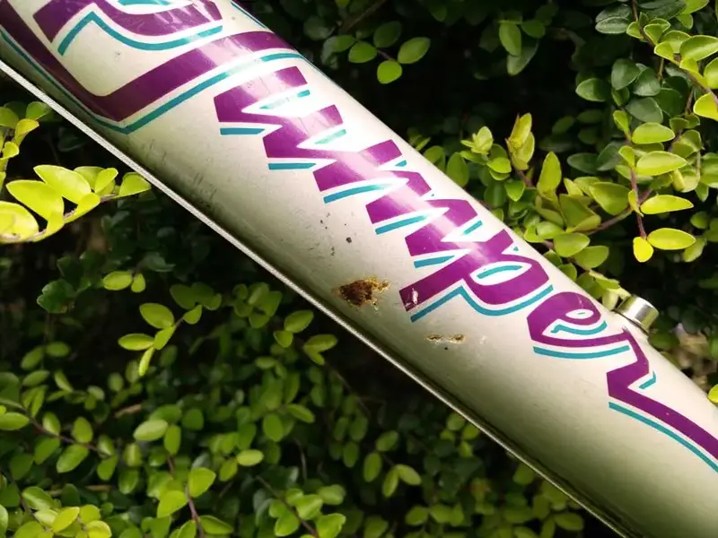 bike-damage-detail.webp