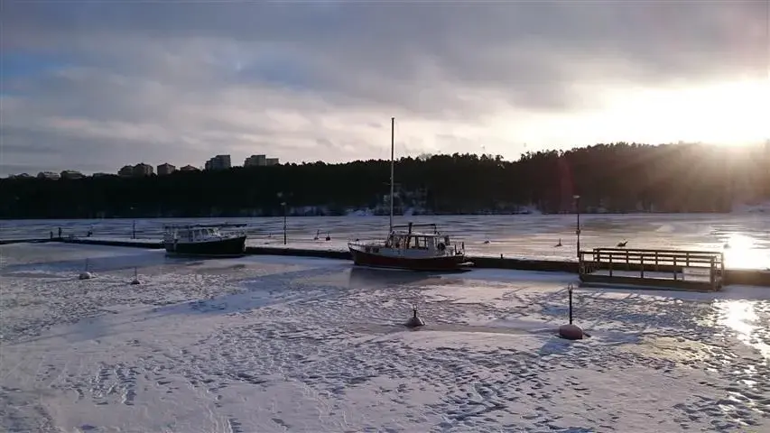 iced boats.webp