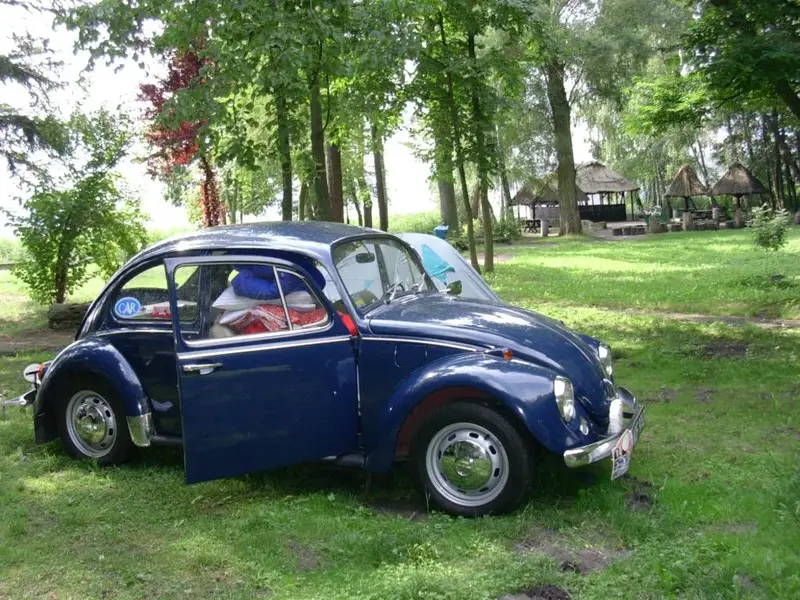 Beetle in Berlin.webp