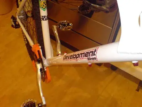 NS Downtube Logo.webp