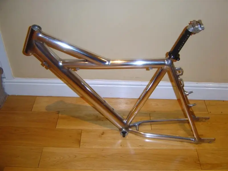 dale first shine (Large).webp