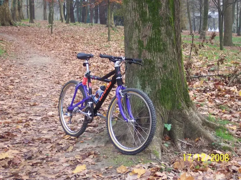 Cannondale delta v2000 004.webp