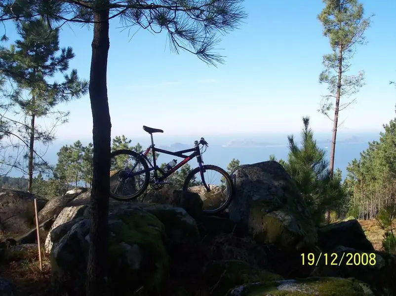 Cannondale delta v2000 003.webp