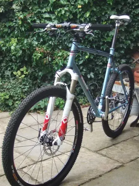 ebay sells and bikes 007 (Medium).webp