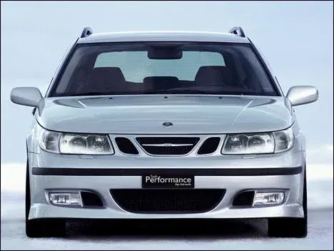 hirsch1.webp
