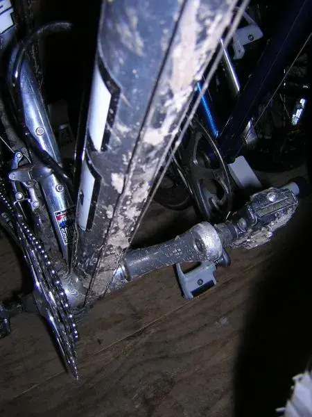 DSCN1954.webp