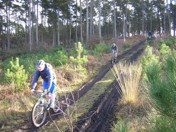 DSCN1947.webp