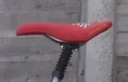 Red Club Roost.webp