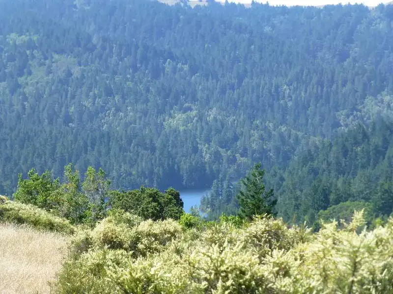 Alpine Lake.webp