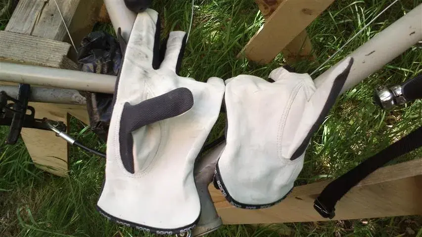 gloves.webp