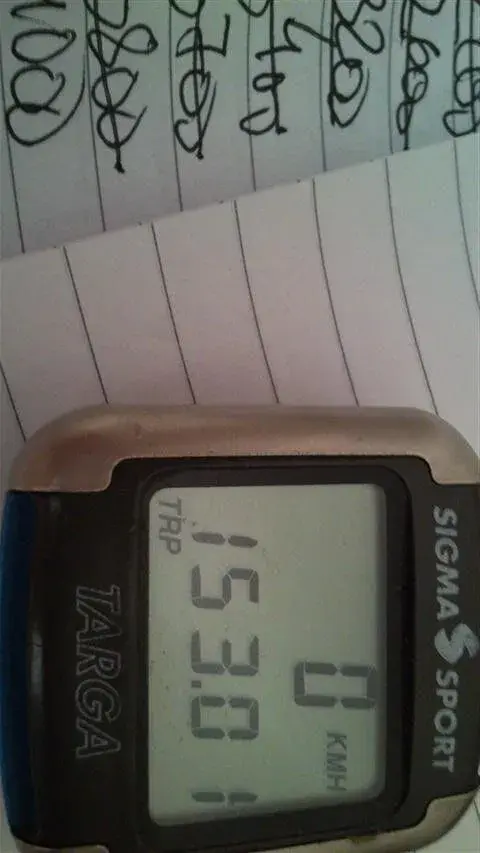 153.webp
