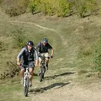 200_1004.webp