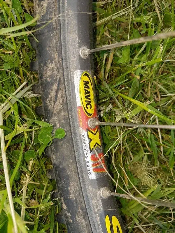 20160607_175919 (600x800).webp