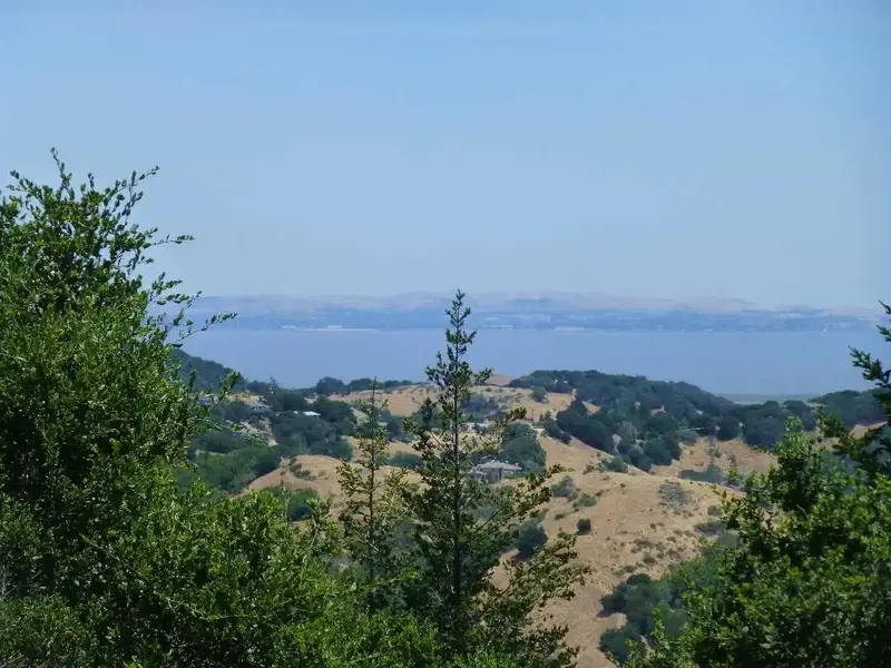 North Bay.webp