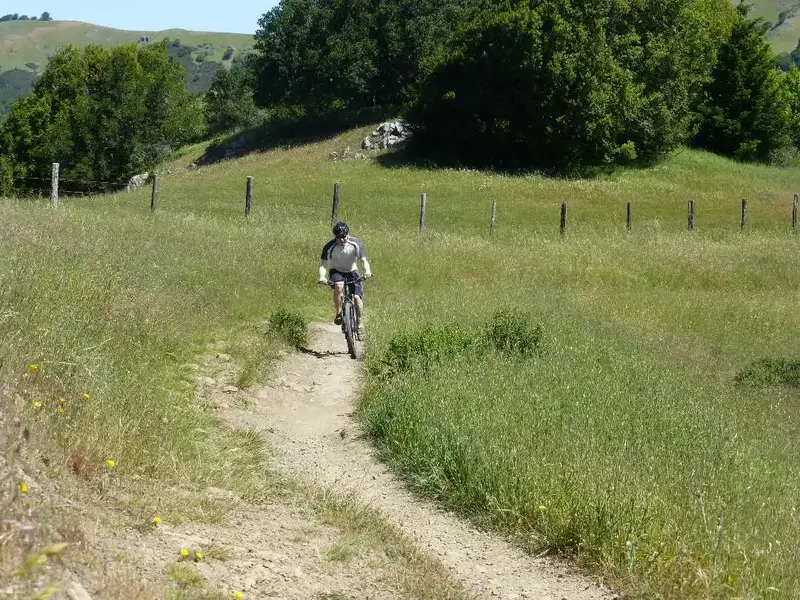 Mat climbing.webp