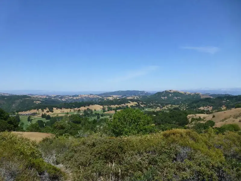 East View.webp