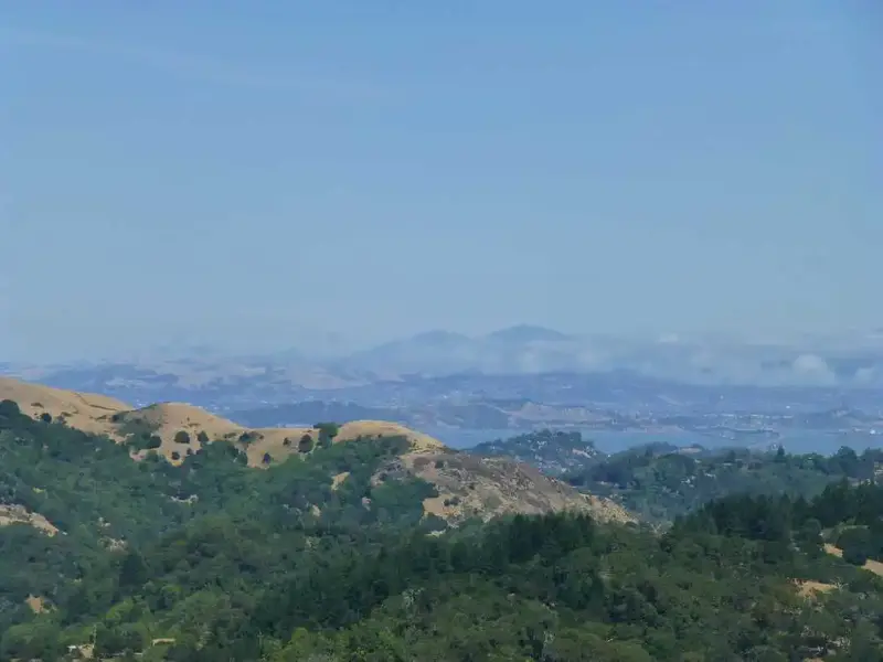 Mt. Diablo.webp