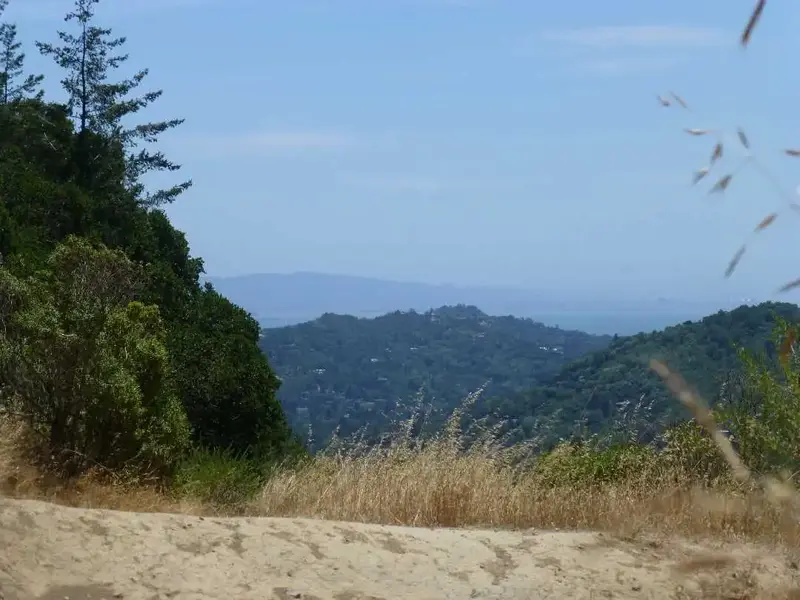SF Bay in the background.webp