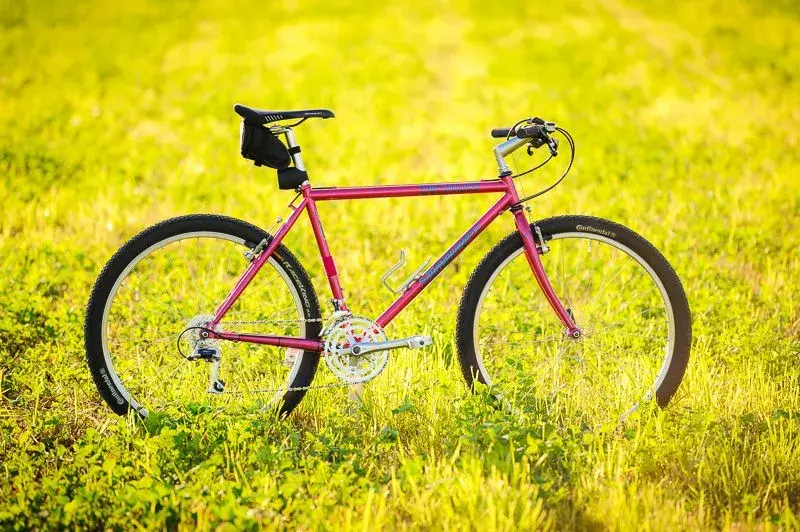 Stumpjumper_Comp_1992.webp