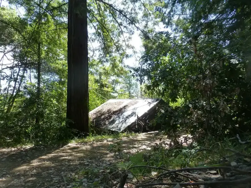 By Fish Gulch.webp