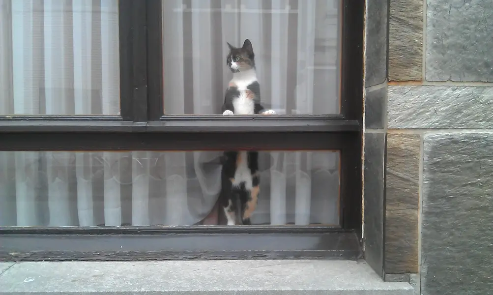 2011-06-08 - 2 - Michah street.webp