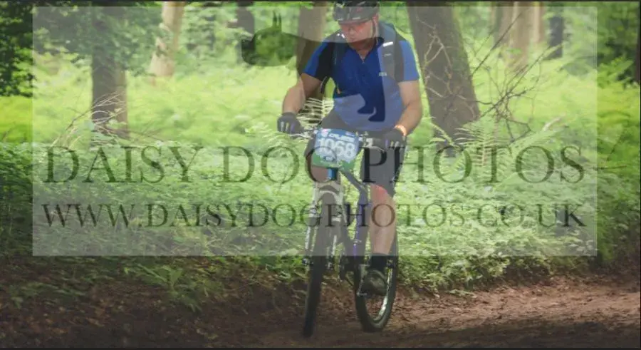 Andy z in action.webp