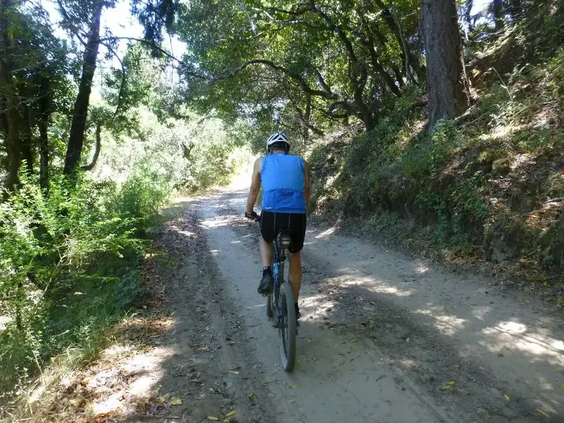 Shady spot.webp