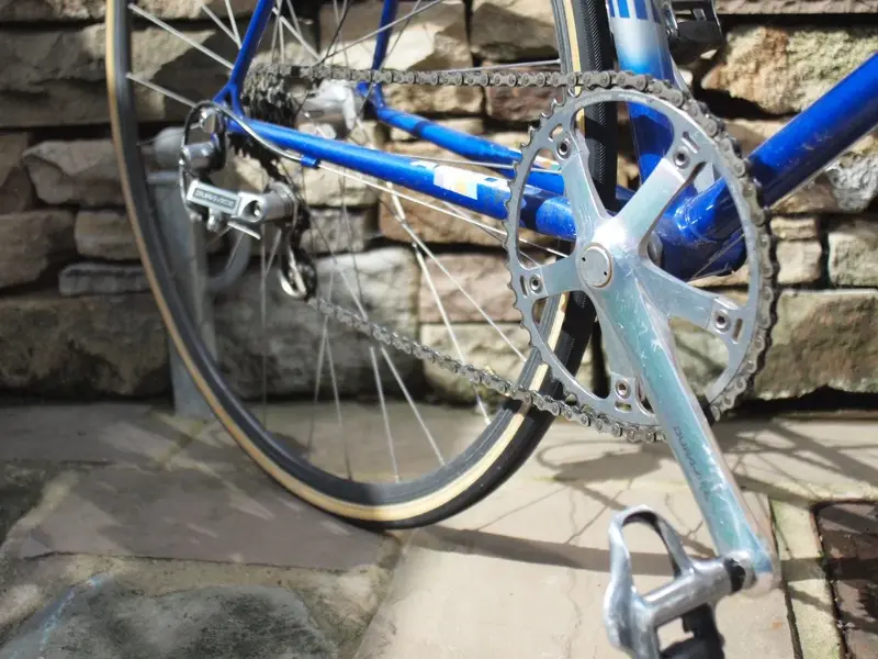P6241956.webp