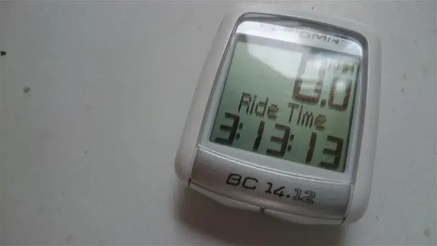 313.webp