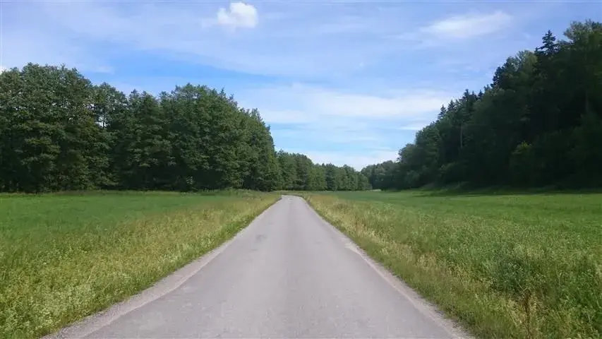 down the glen.webp