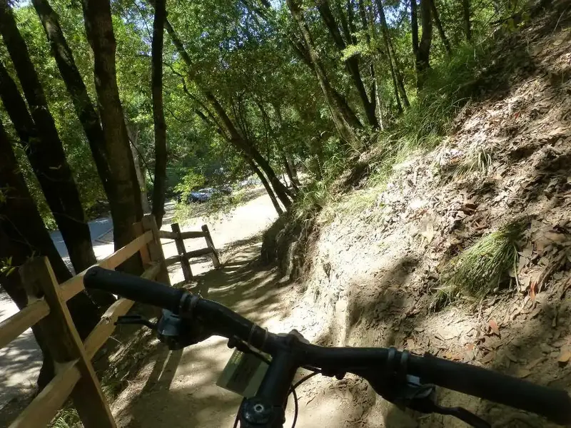 Deer Park.webp