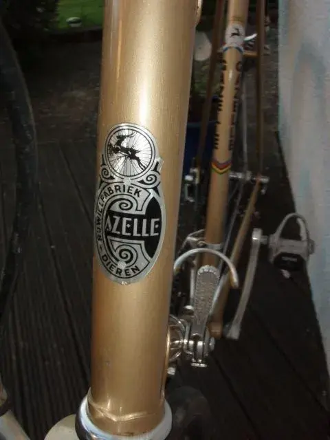 Head badge.webp