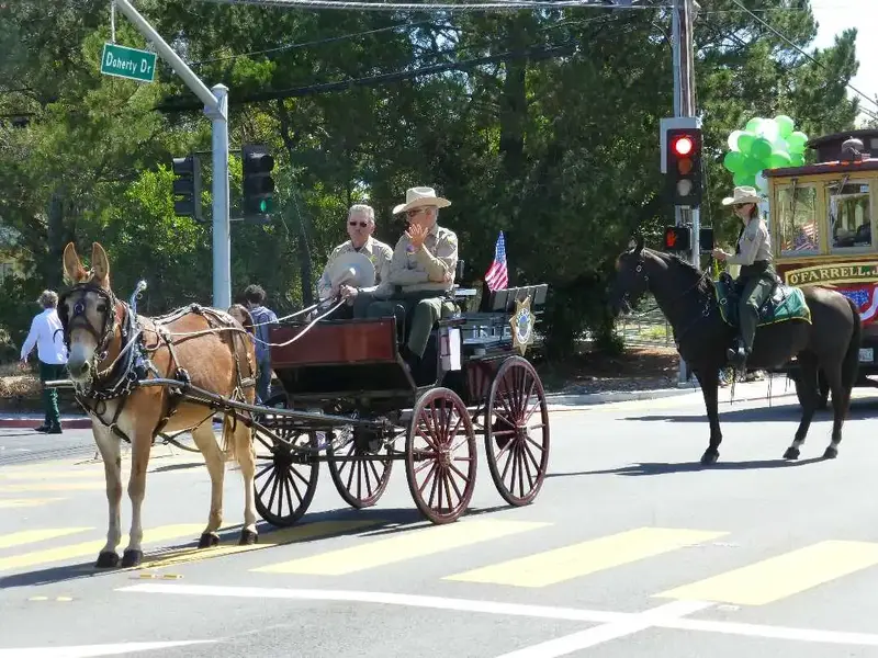 Old West donkey wagon.webp