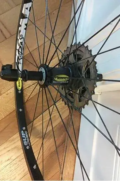 mavic1.webp