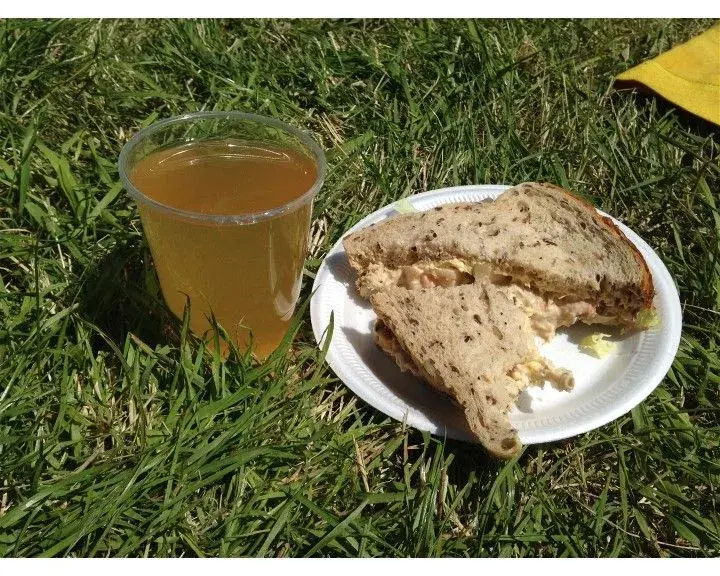 lunch.webp