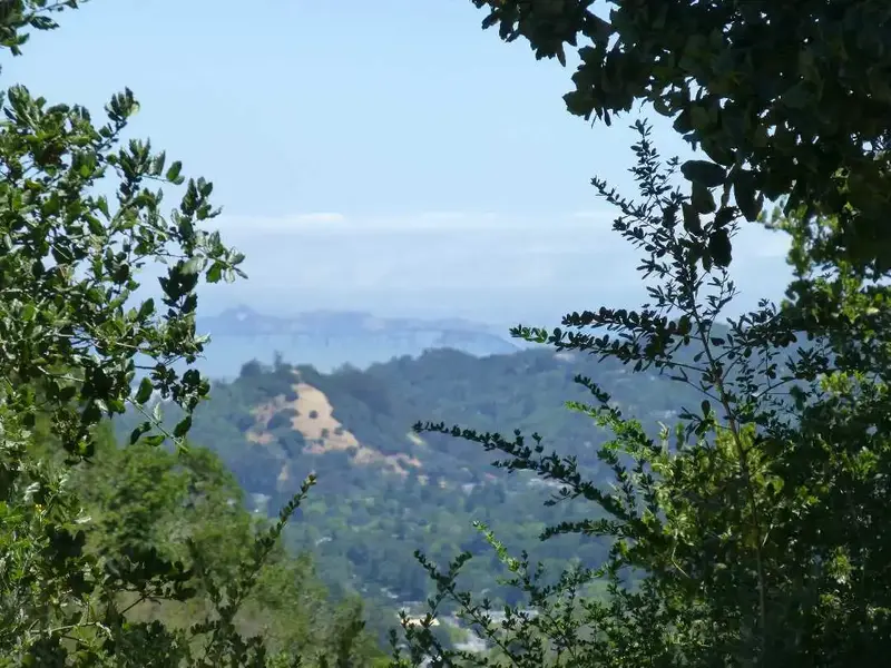 Hazy Bay.webp