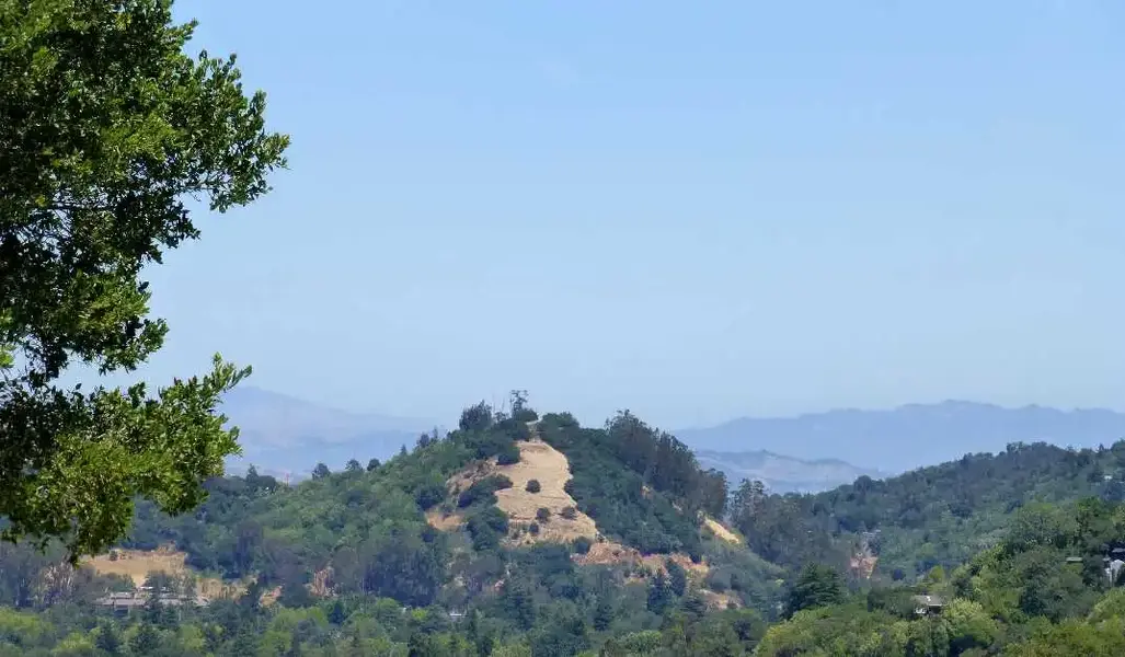 Red Hill and the Bay.webp