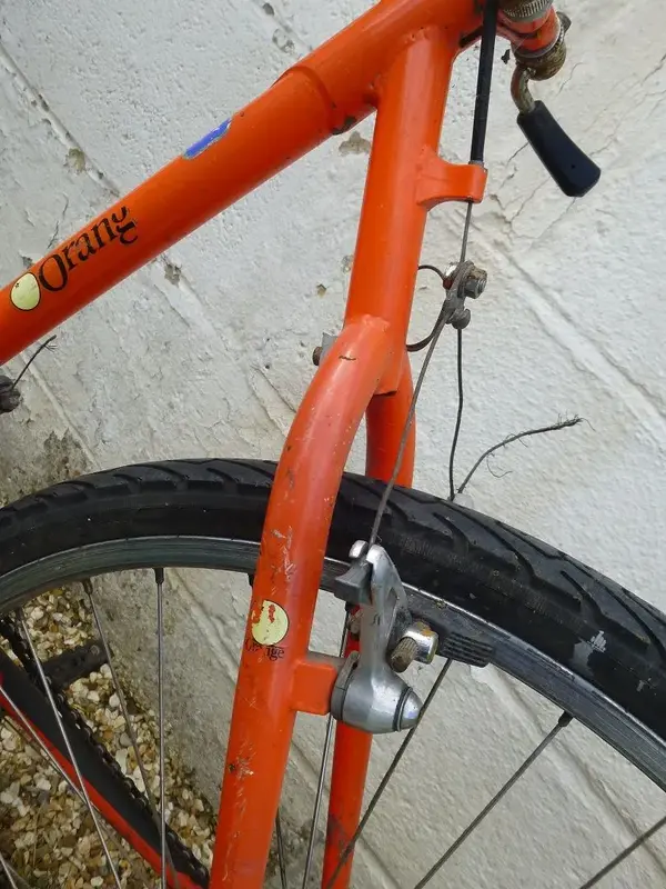 Orange or lemon 012.webp
