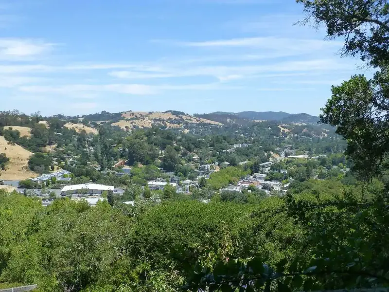 Above Fairfax.webp