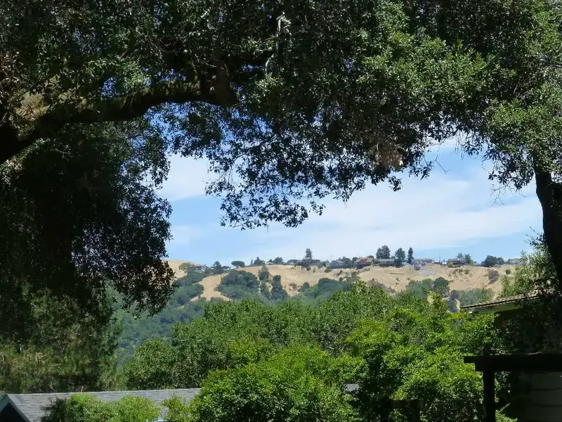 On the climb.webp