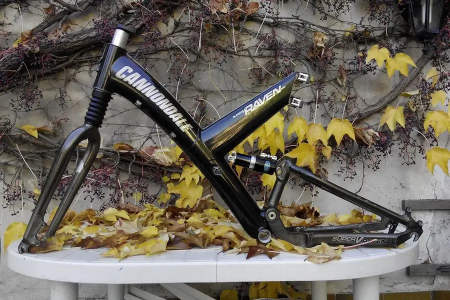 raven 900.webp