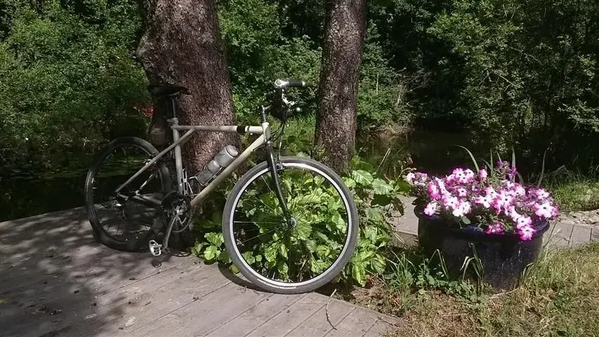 flowers canal.webp