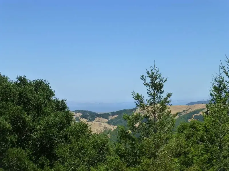 NorthEast view from the bench.webp