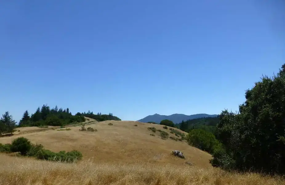 Dry up high.webp